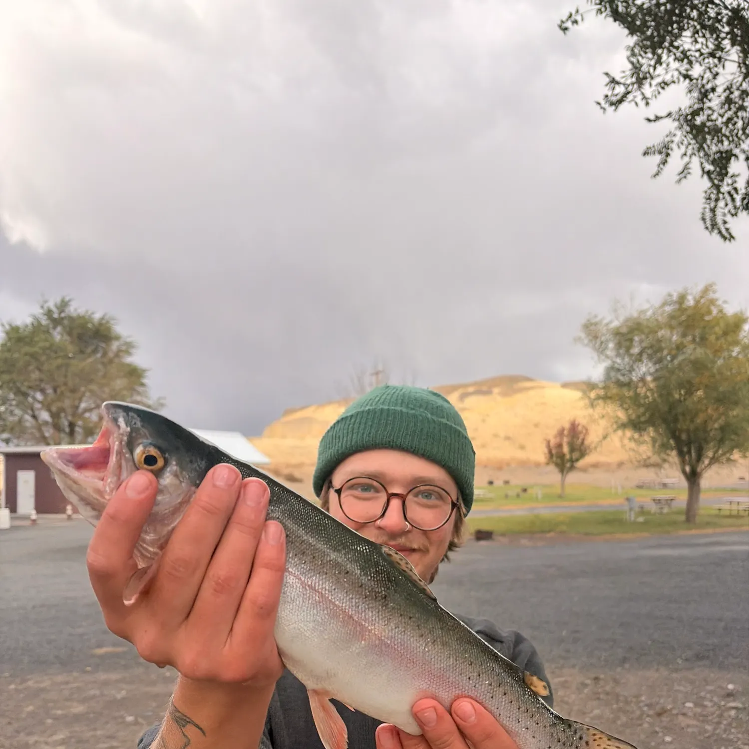Rainbow trout caught on Fishbrain