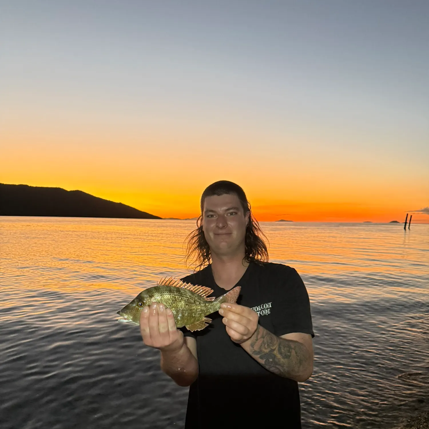The most recent Common parrotfish catches on Fishbrain