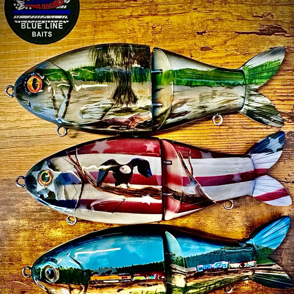 The most recent American shad catches on Fishbrain