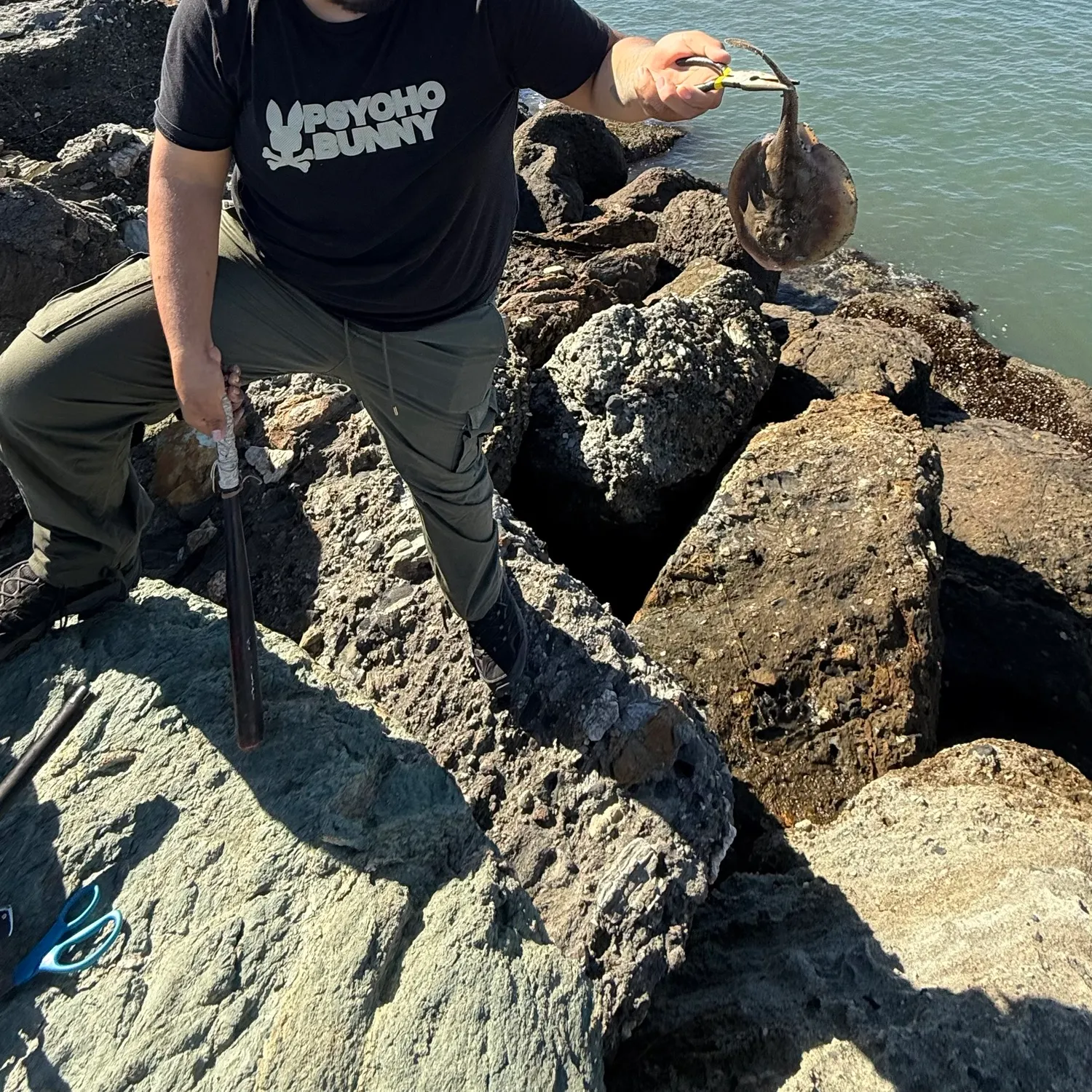 The most recent Atlantic stingray catches on Fishbrain