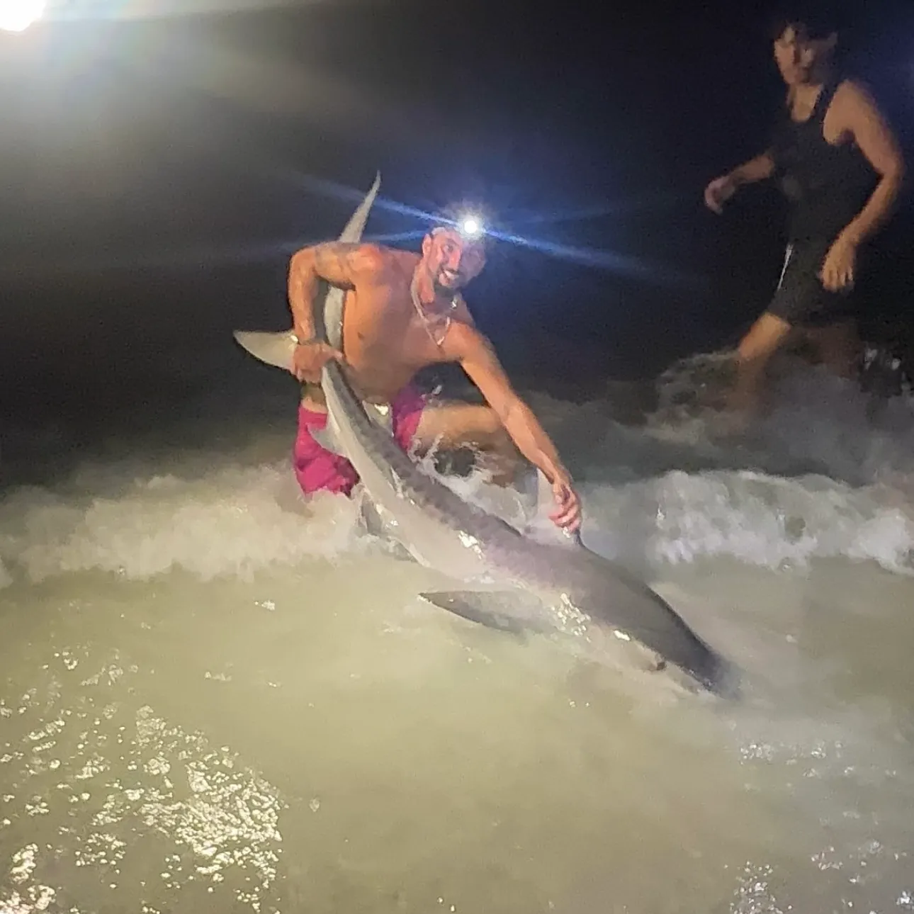 The most recent Tiger shark catches on Fishbrain