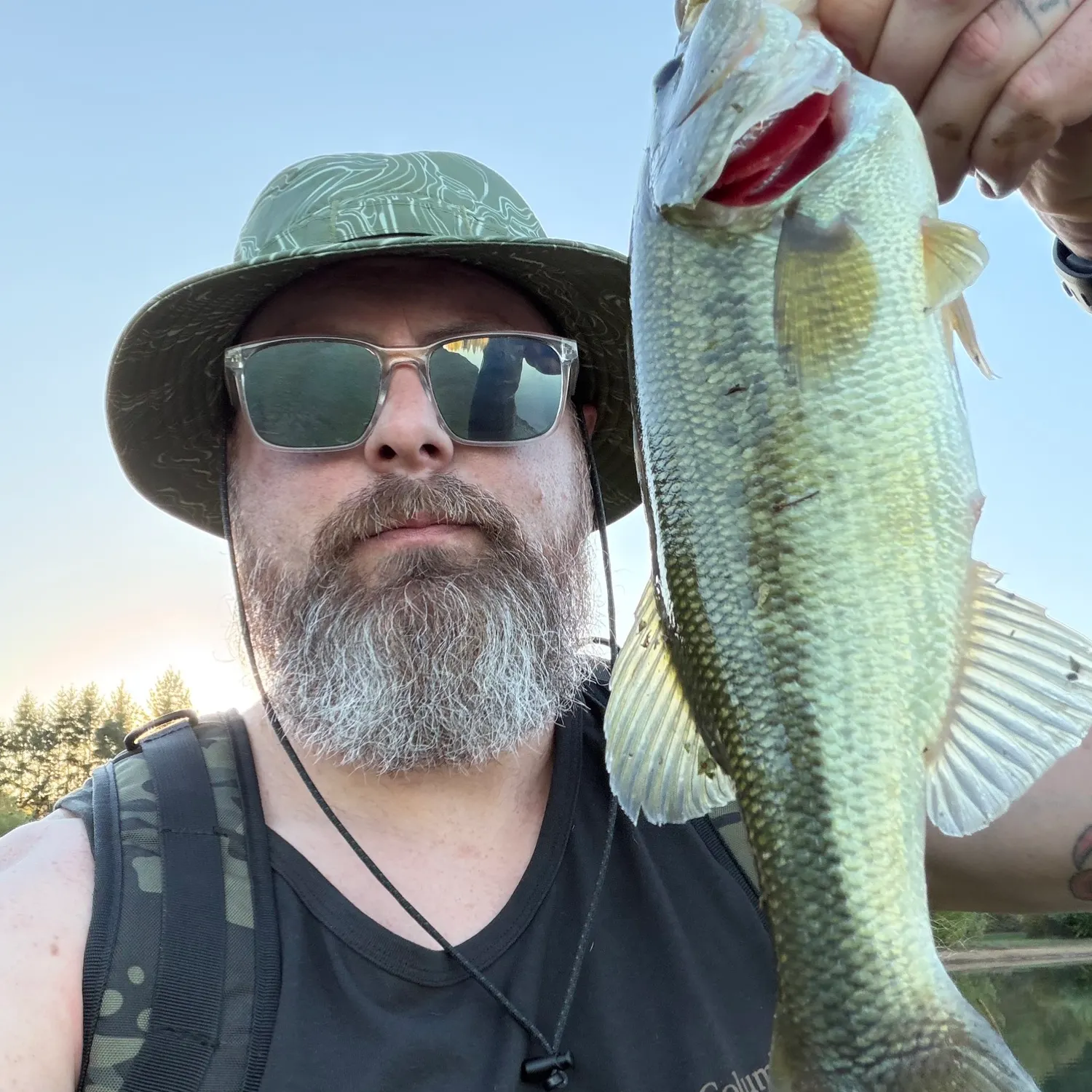 Largemouth bass caught on Fishbrain