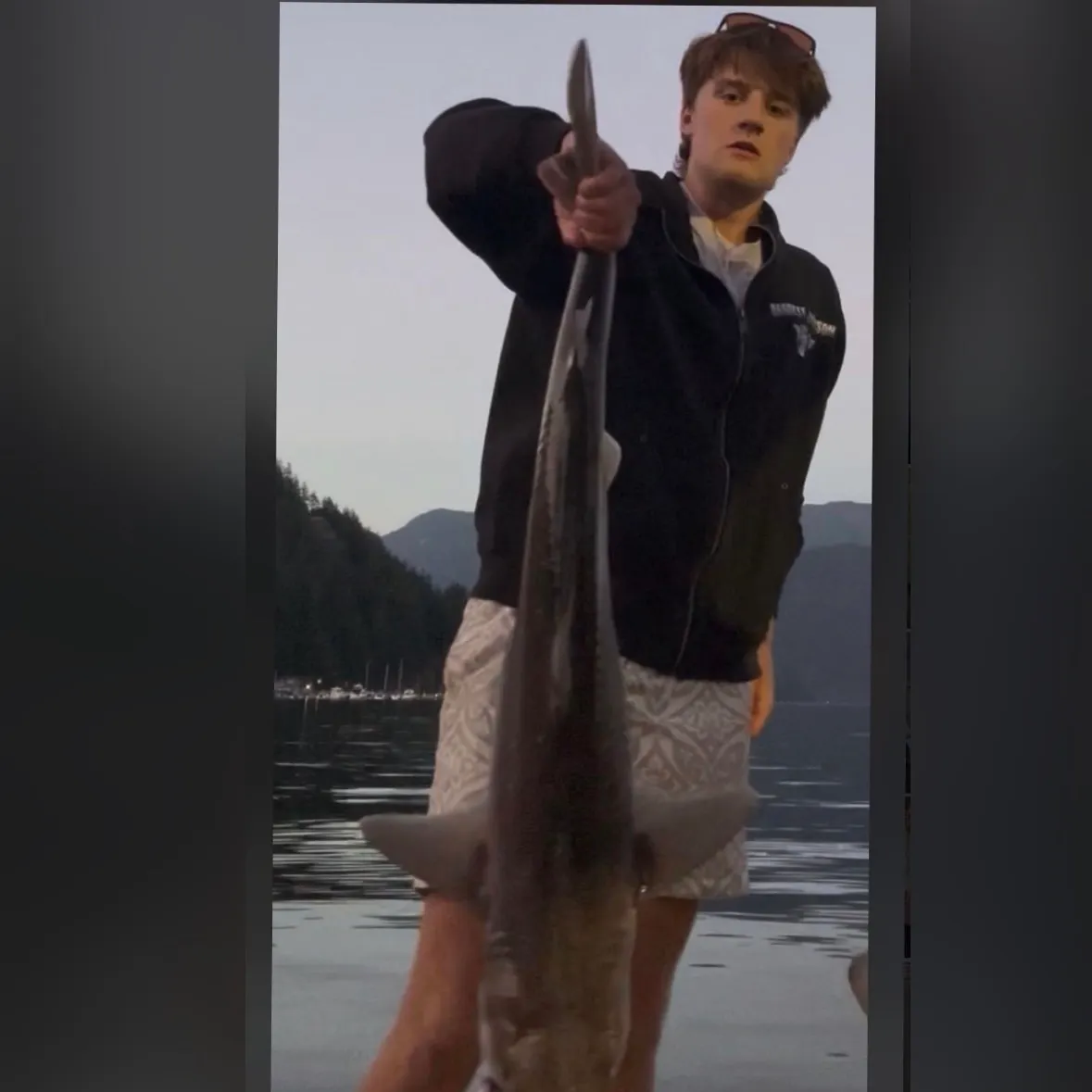 The most recent Piked dogfish catches on Fishbrain