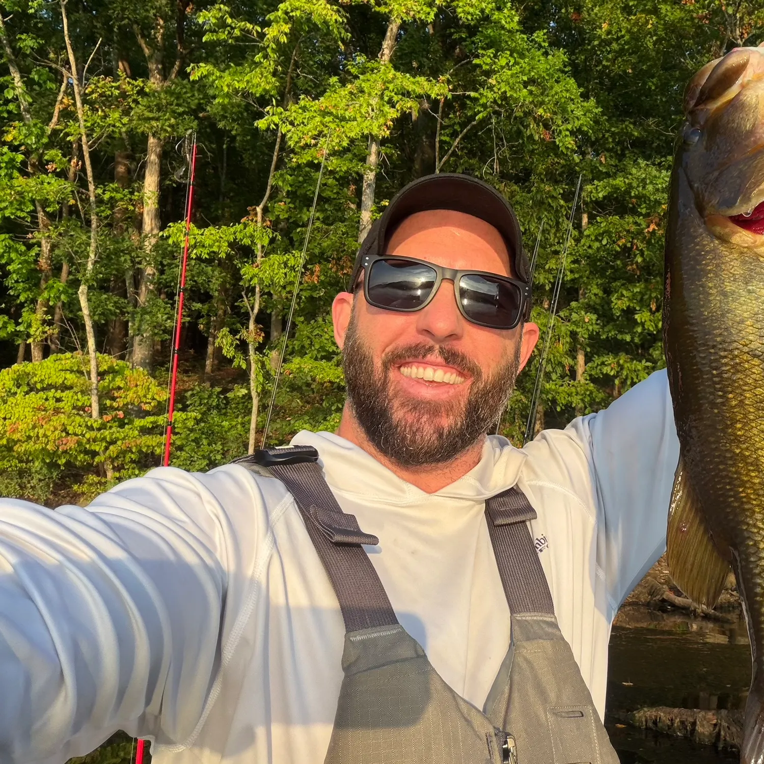 Largemouth bass caught on Fishbrain