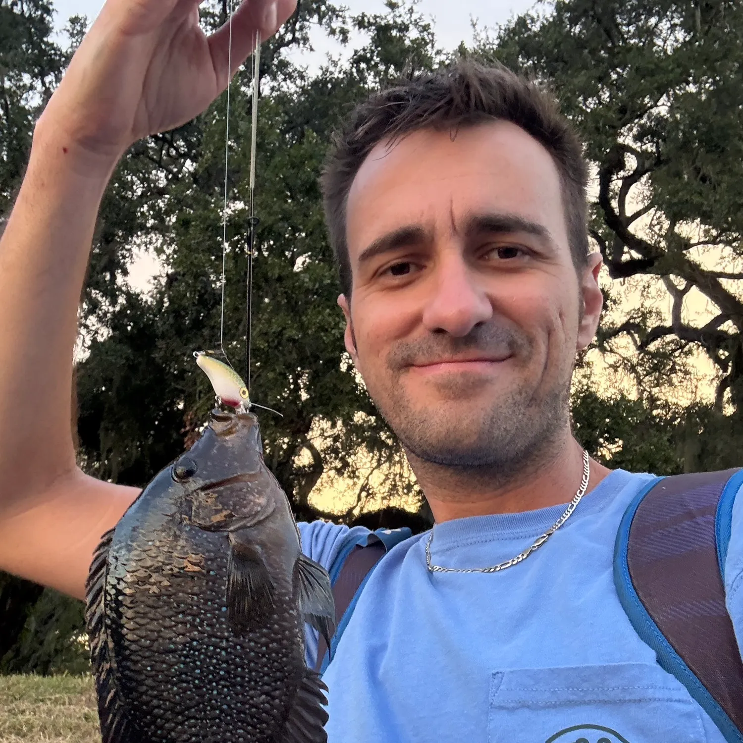 Rio Grande cichlid caught on Fishbrain