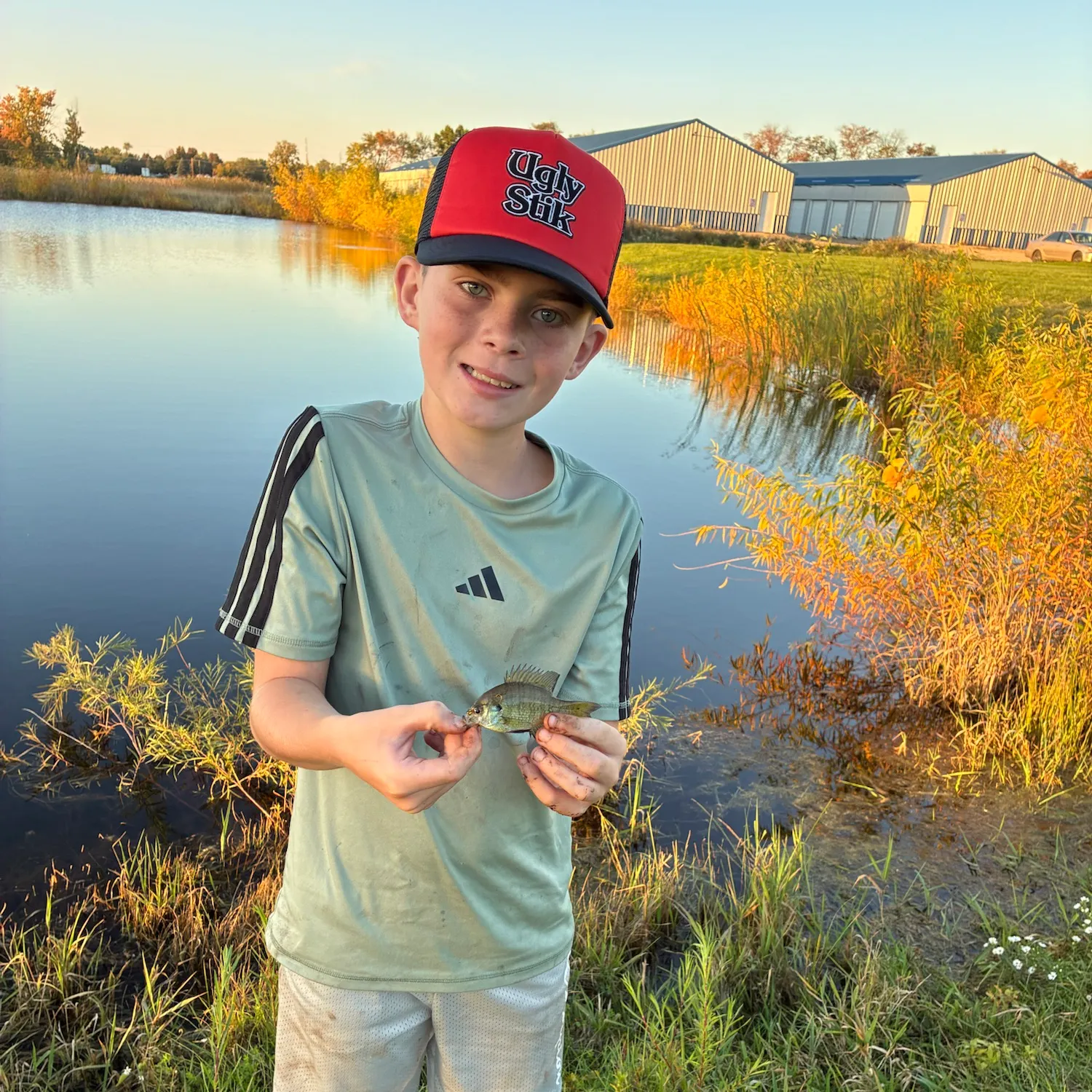 Bluegill caught on Fishbrain
