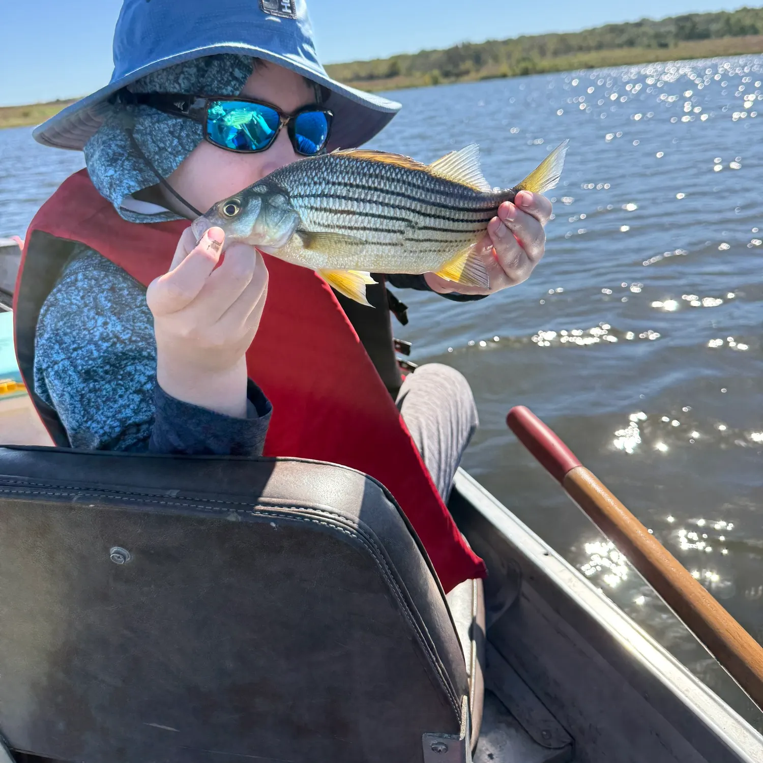 Yellow bass caught on Fishbrain