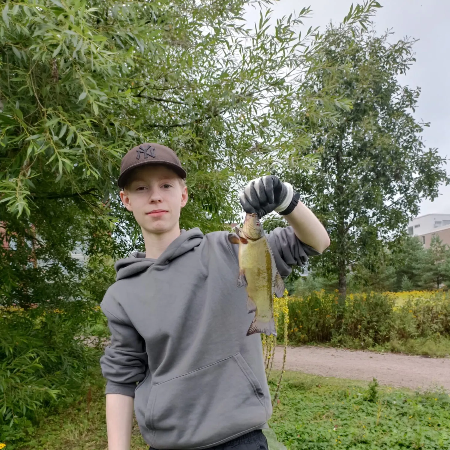 Tench caught on Fishbrain
