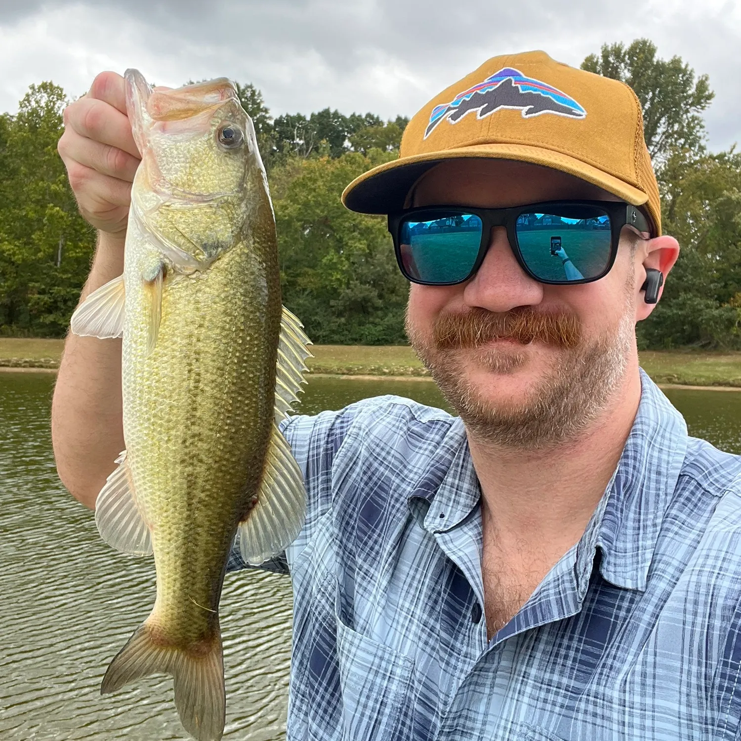 Largemouth bass caught on Fishbrain
