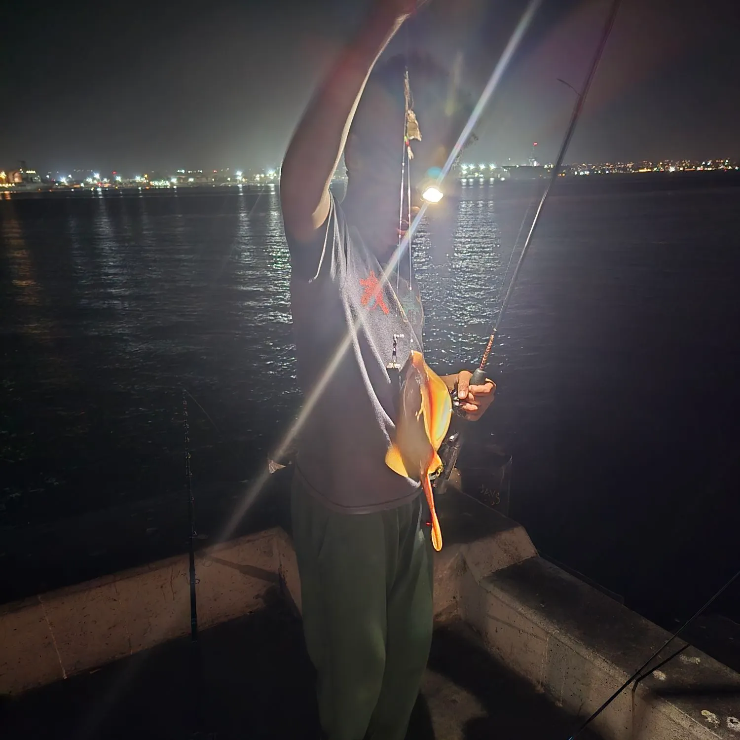 Haller's round ray caught on Fishbrain