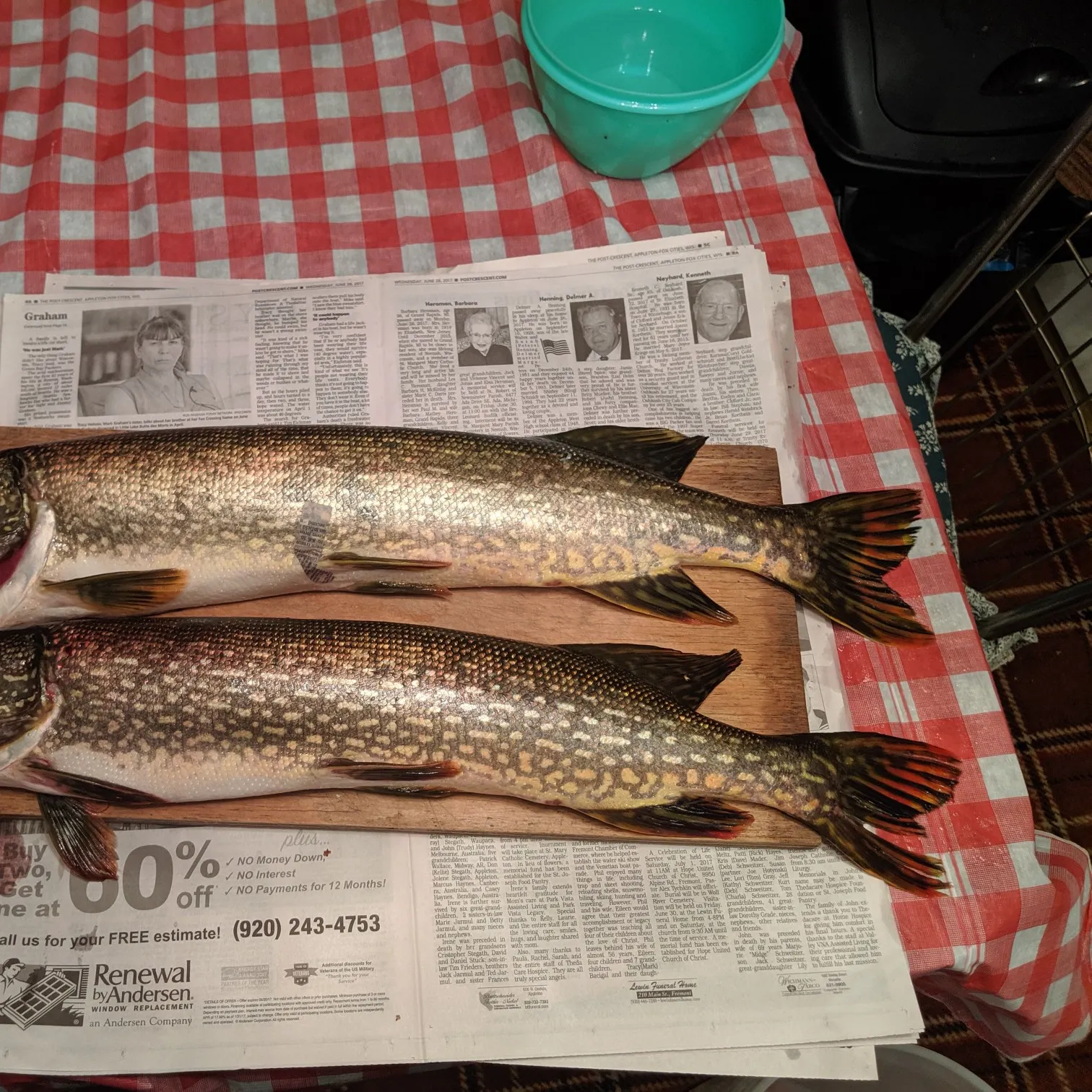 recently logged catches