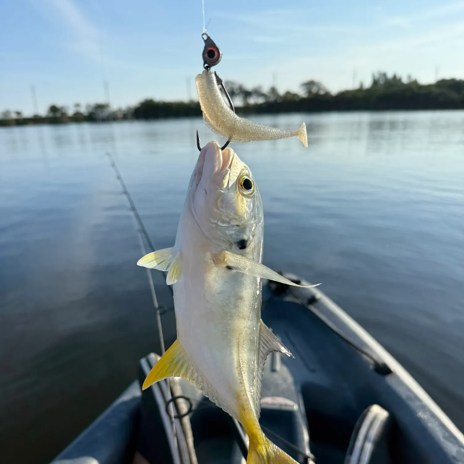 The most recent Crevalle jack catches on Fishbrain