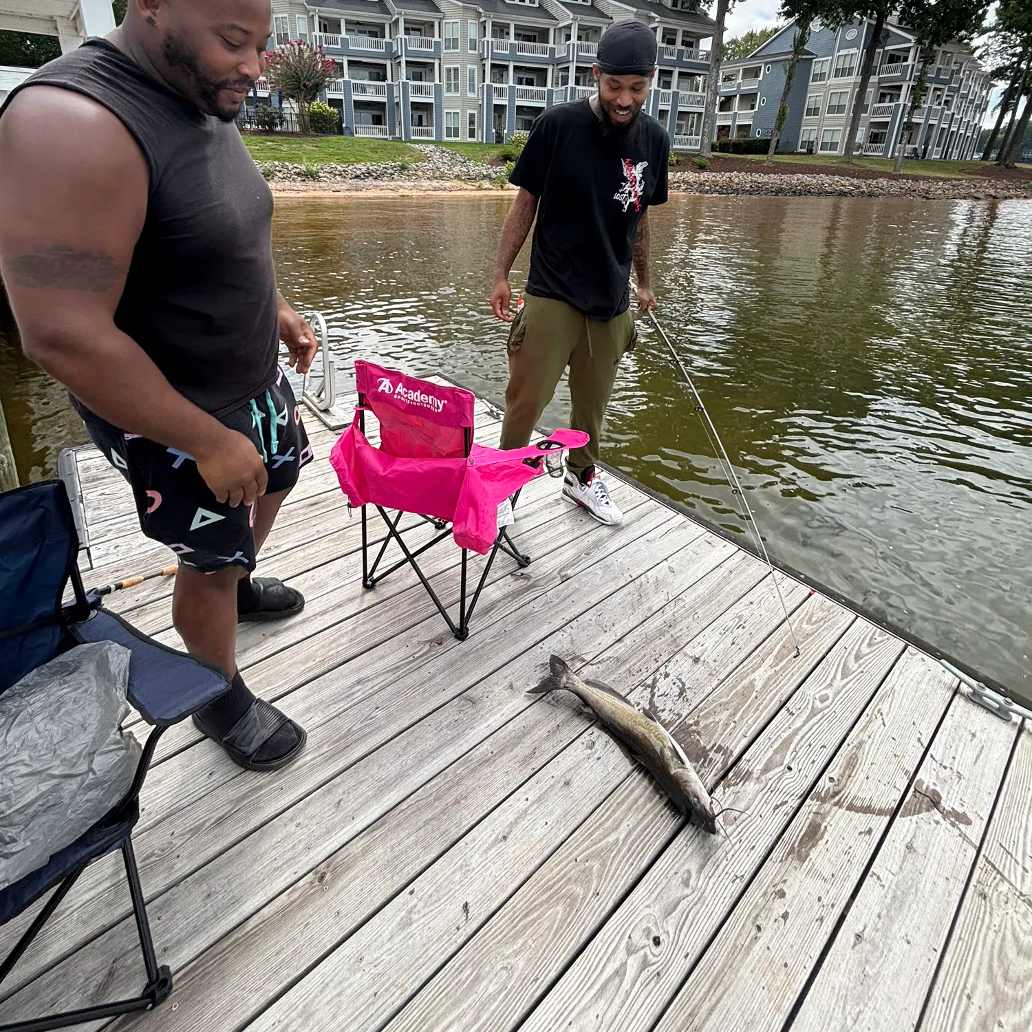 Channel catfish caught on Fishbrain
