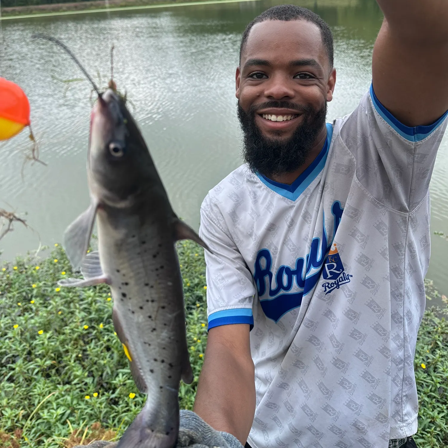Channel catfish caught on Fishbrain