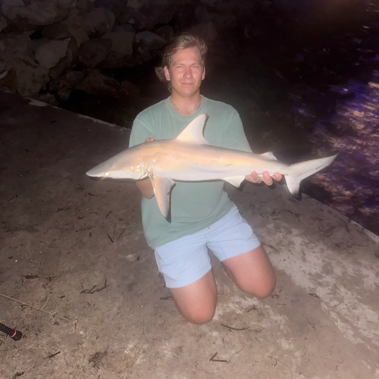 The most recent Blacktip shark catches on Fishbrain