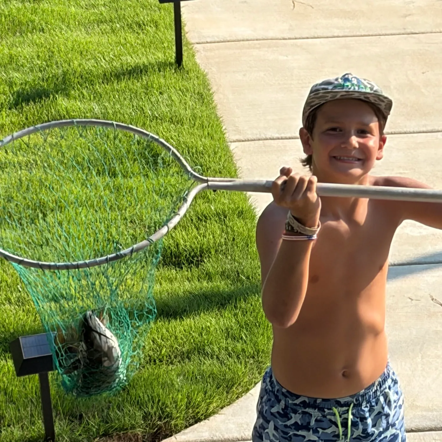 Channel catfish caught on Fishbrain