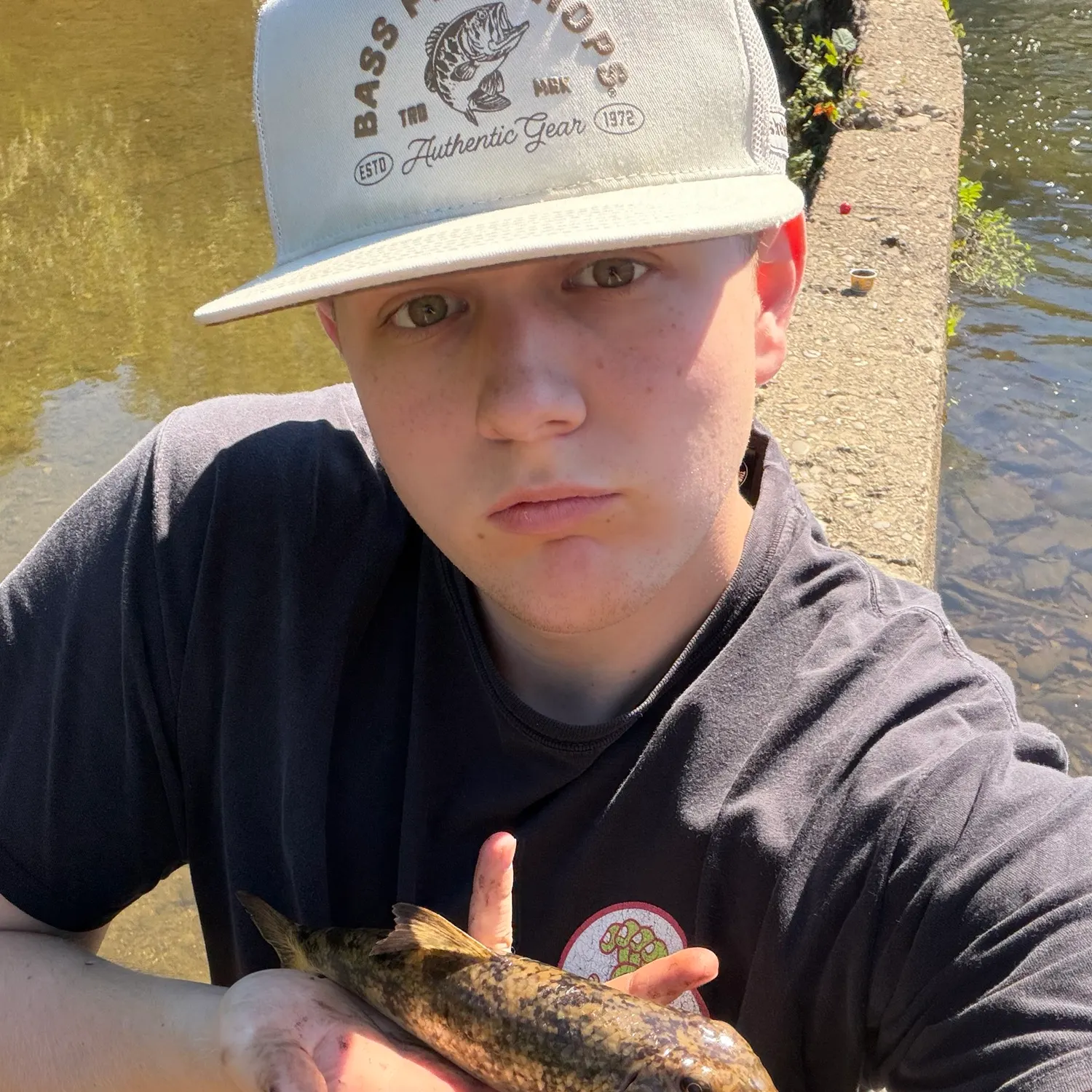 The most recent Northern hogsucker catches on Fishbrain