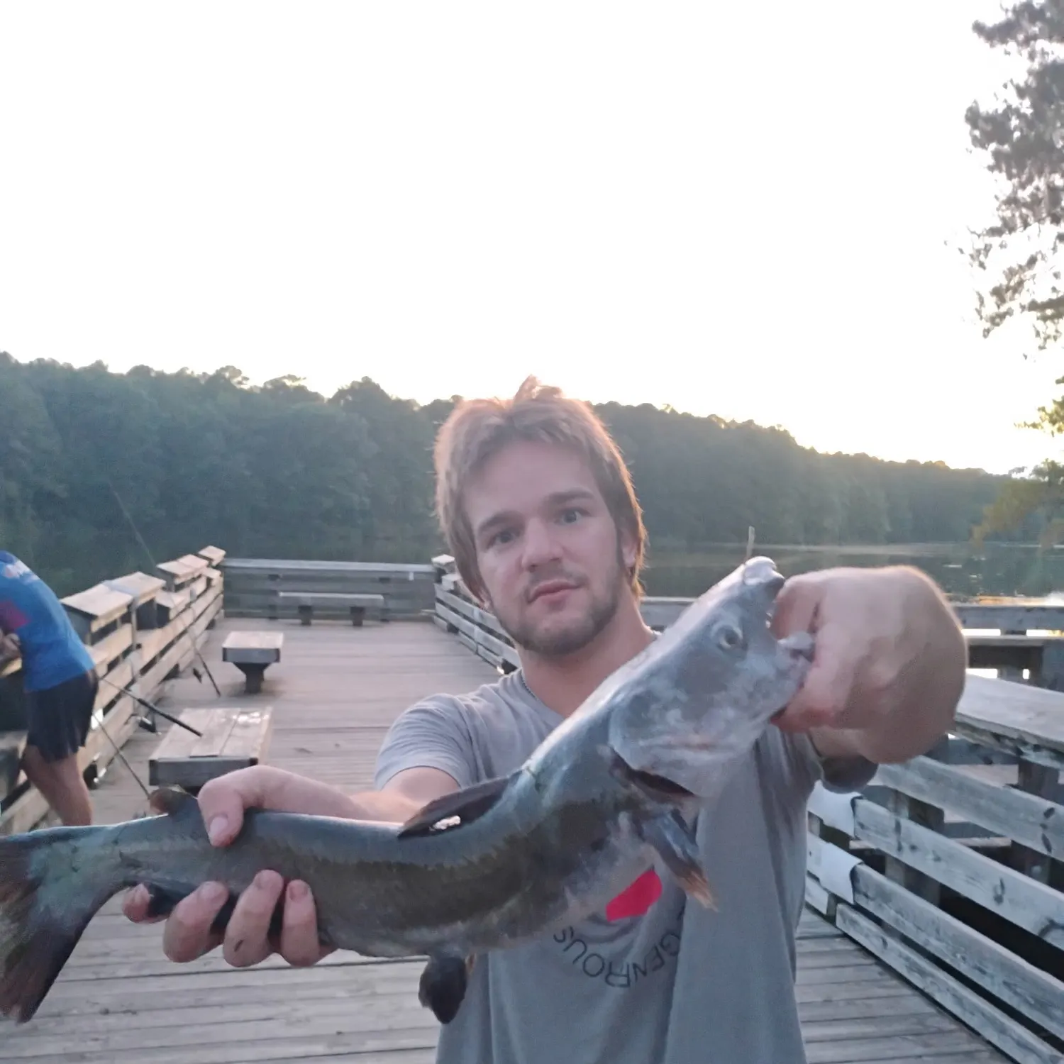 Black bullhead caught on Fishbrain