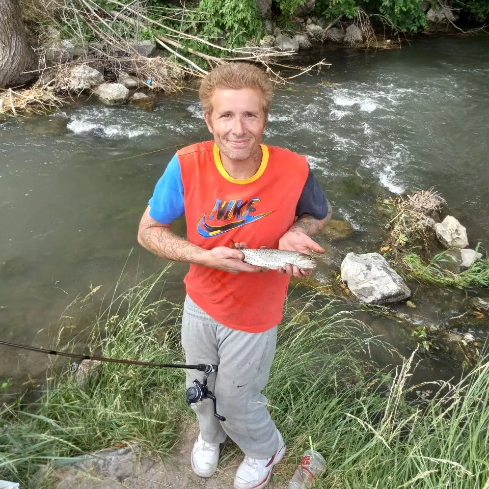 The most recent Bonneville cutthroat trout catches on Fishbrain