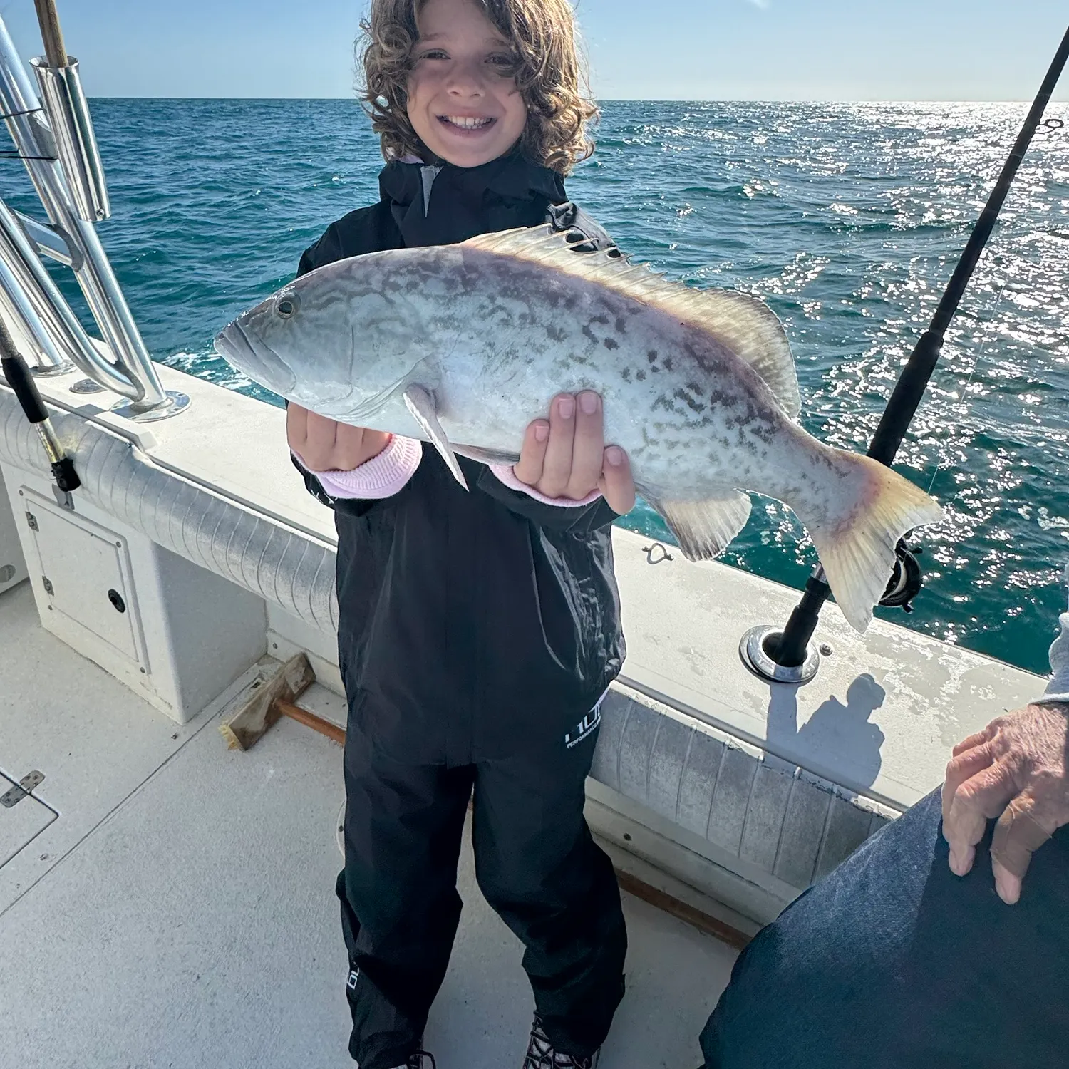 The most recent Black grouper catches on Fishbrain