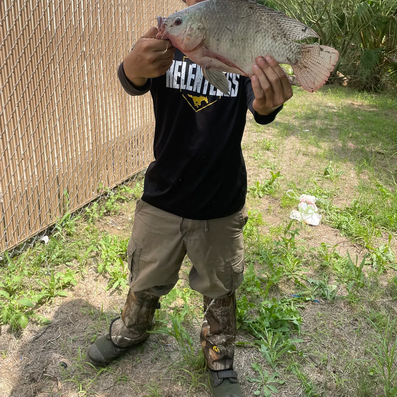 catch
