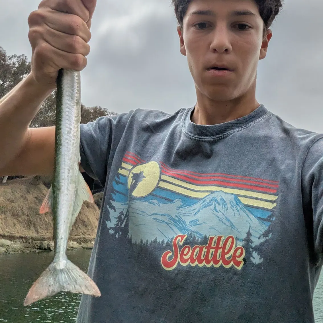 The most recent California needlefish catches on Fishbrain
