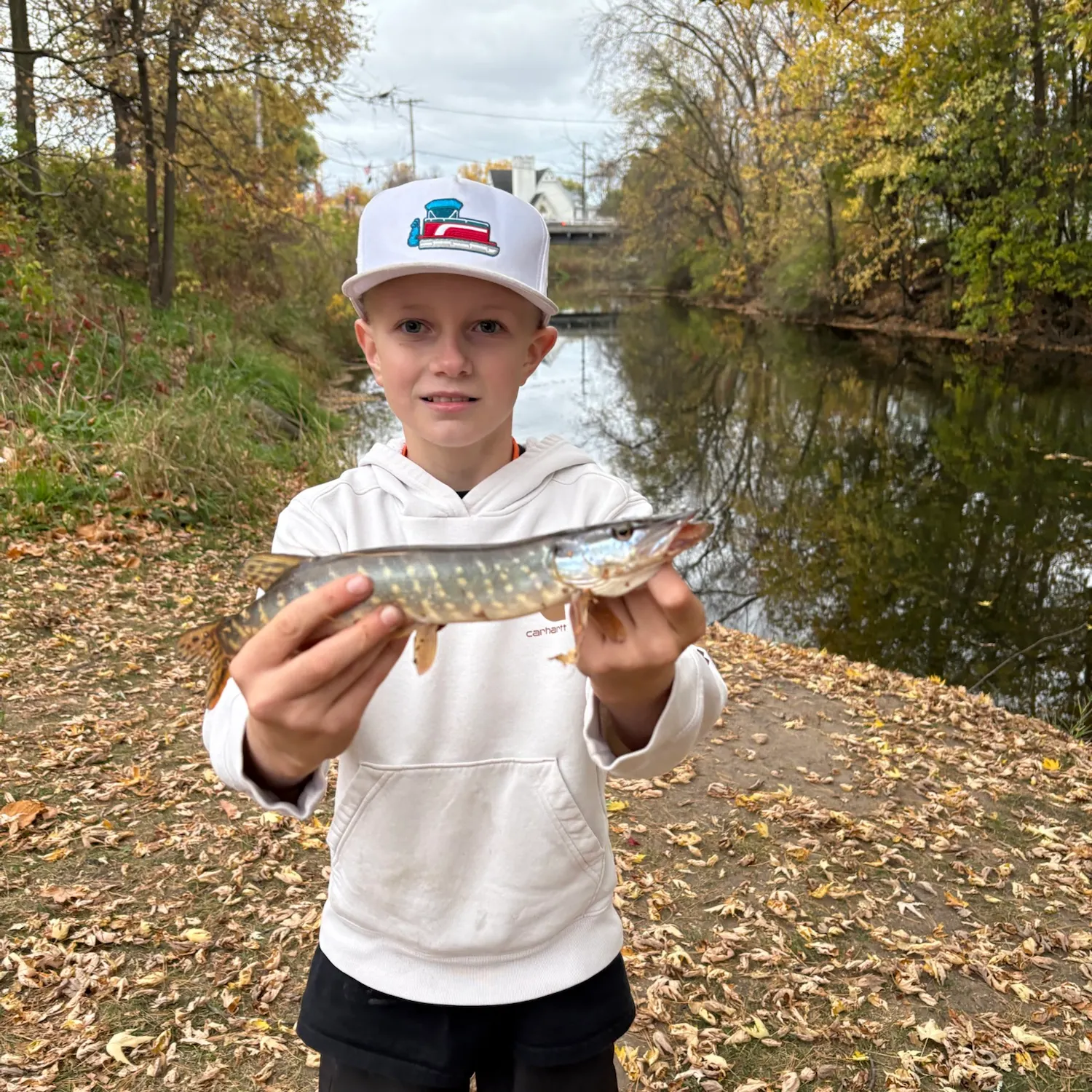 Northern pike caught on Fishbrain