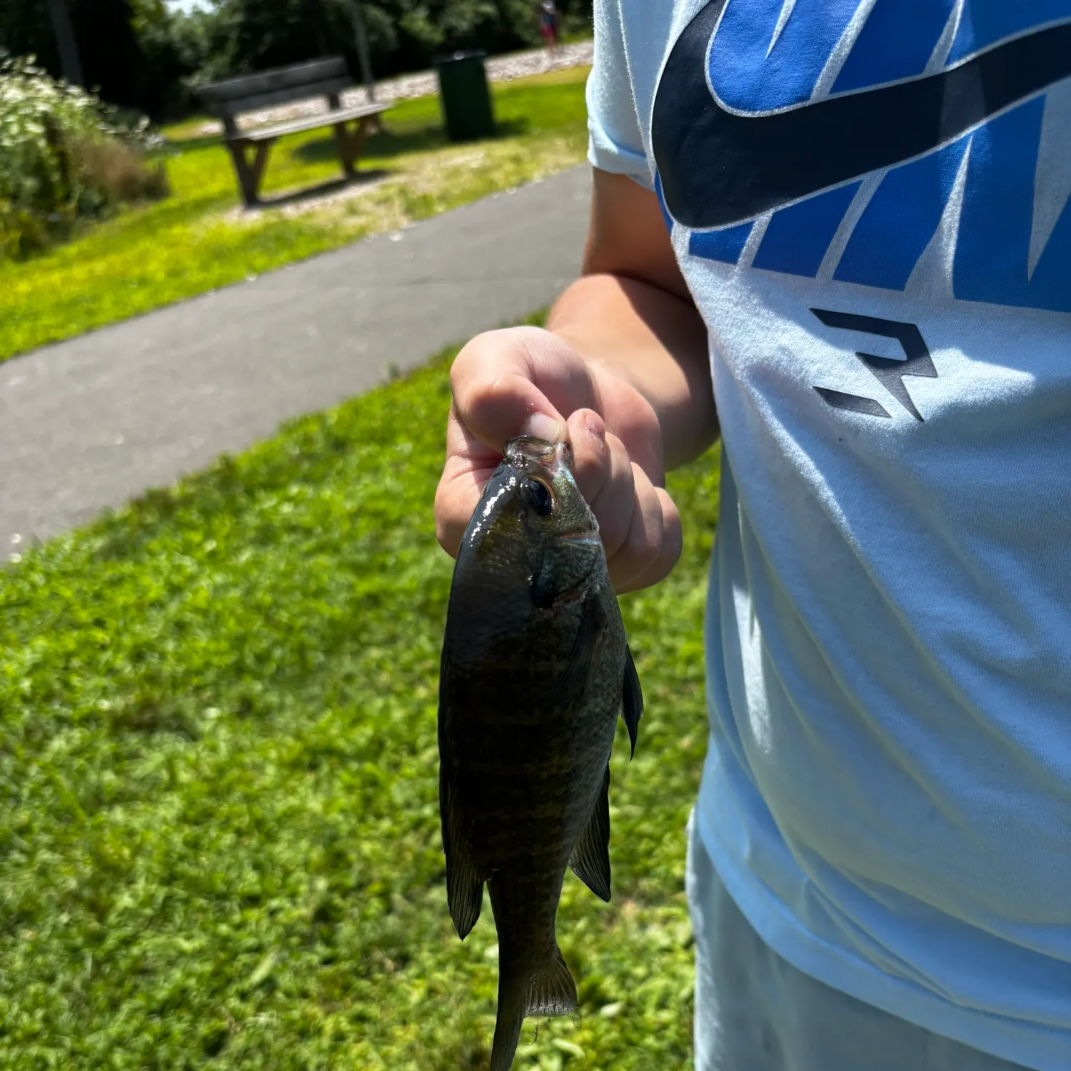 Fish caught on Fishbrain