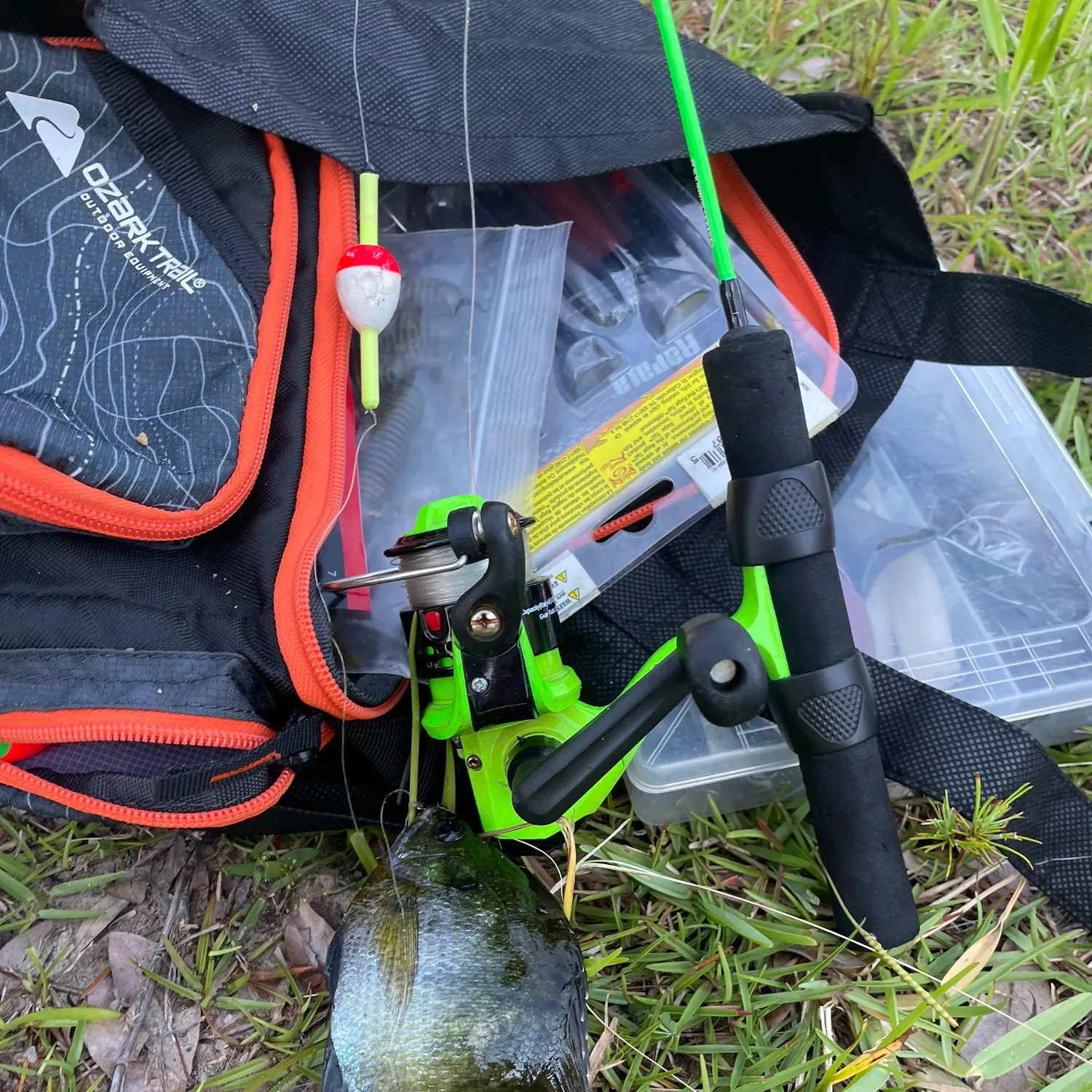 The most recent Bluegill catches on Fishbrain