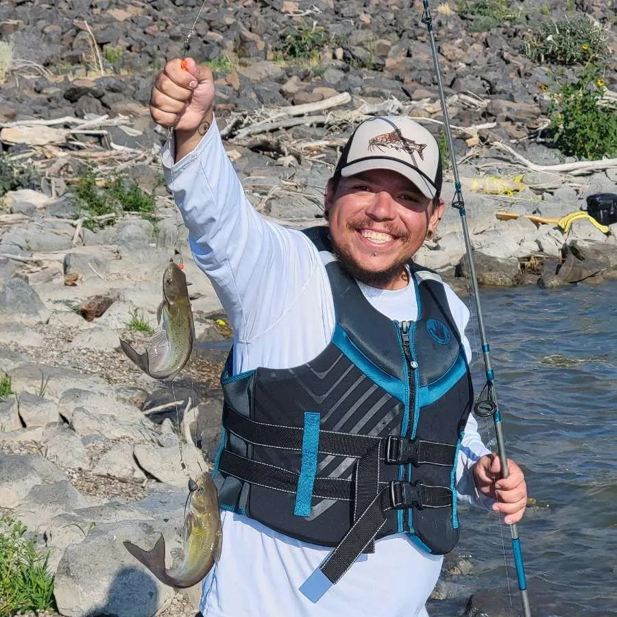 Channel catfish caught on Fishbrain