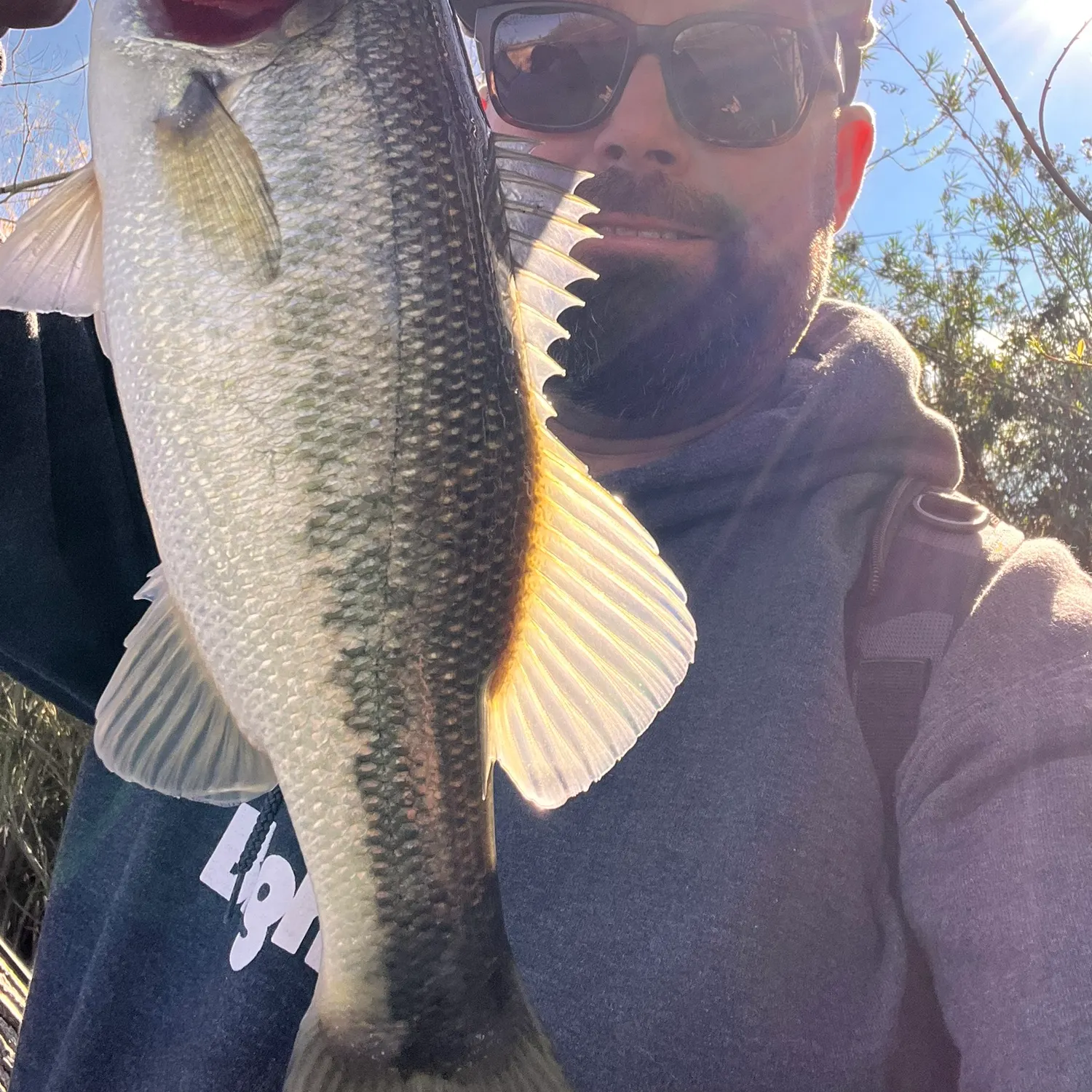 The most recent Largemouth bass catches on Fishbrain