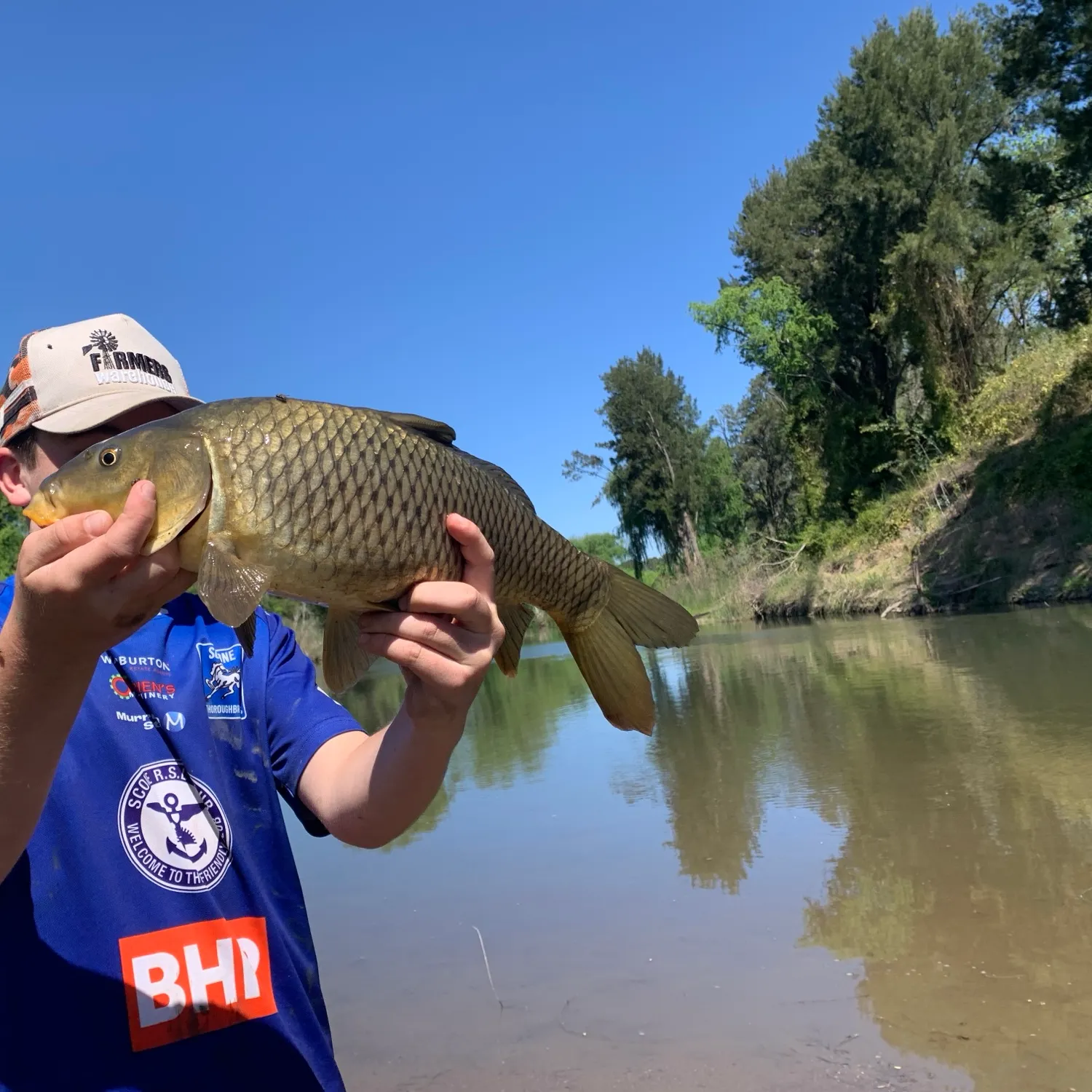 Common carp caught on Fishbrain