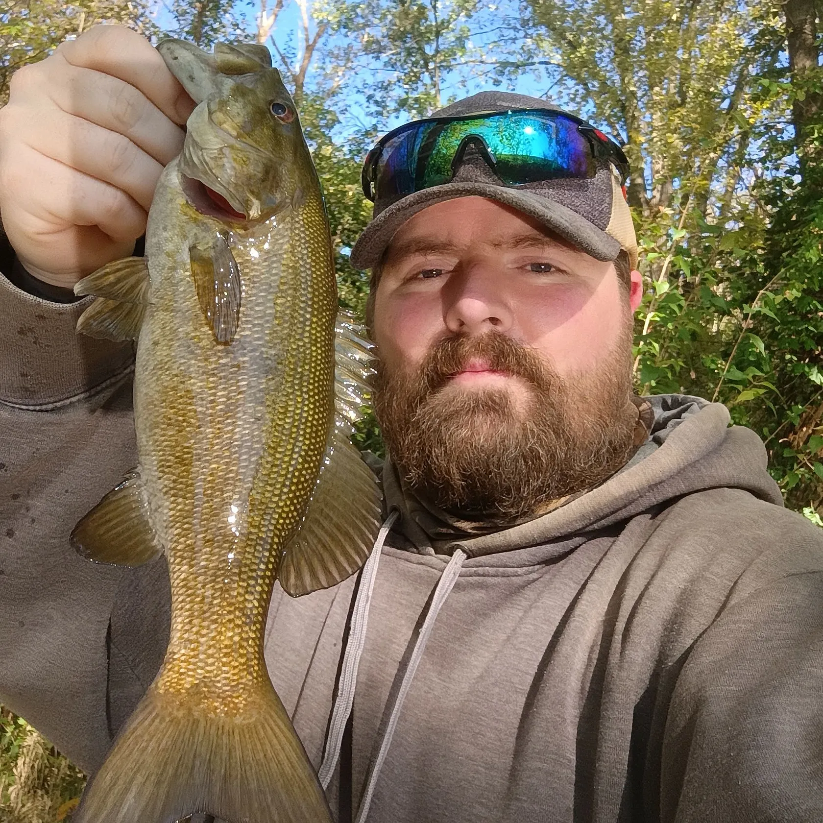 Smallmouth bass caught on Fishbrain