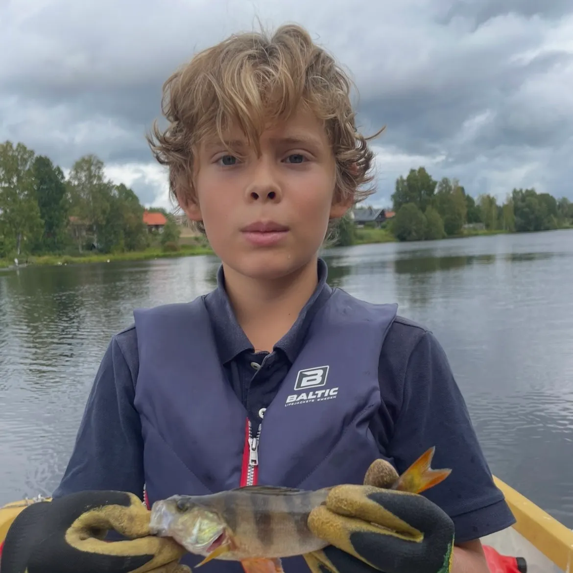 European perch caught on Fishbrain