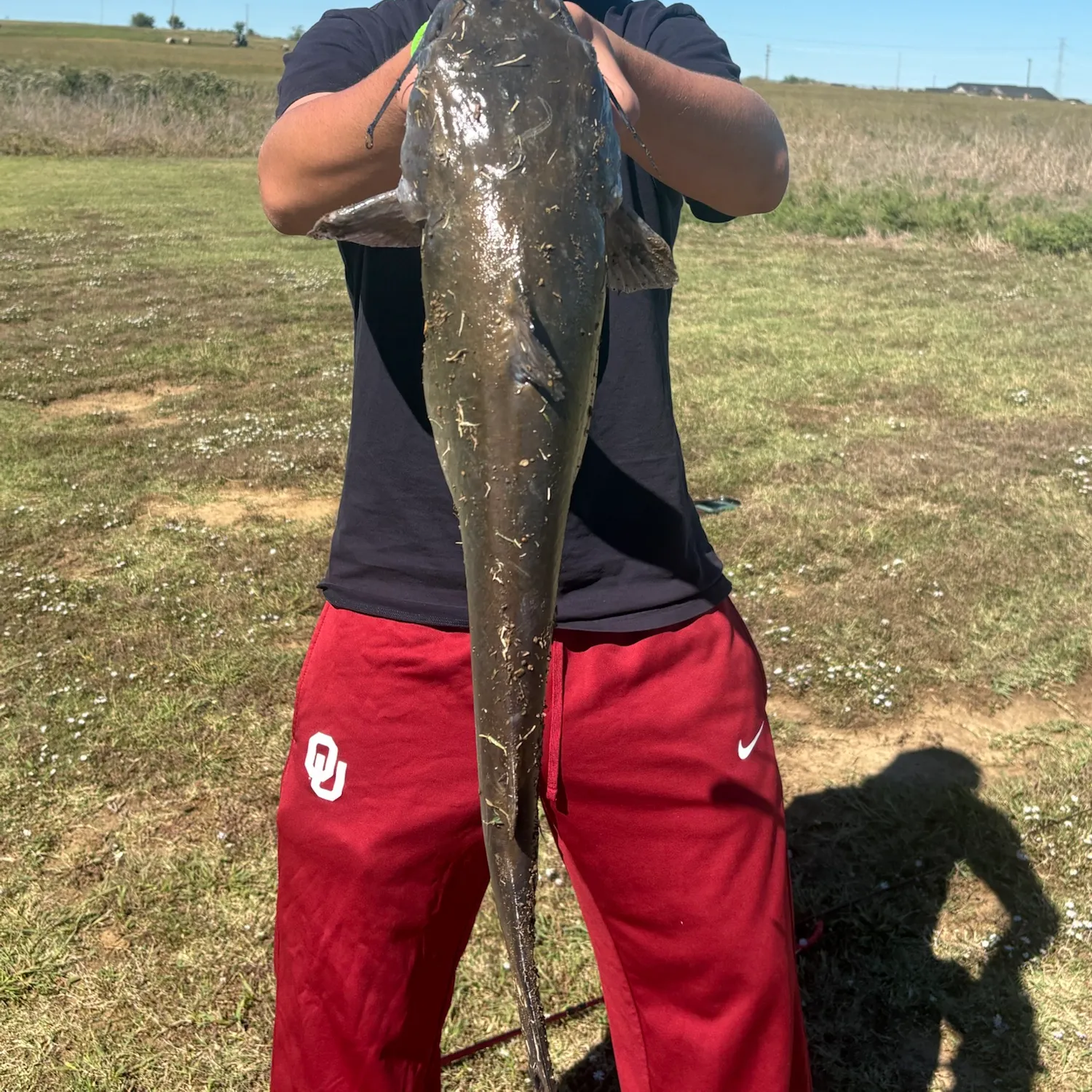 Channel catfish caught on Fishbrain