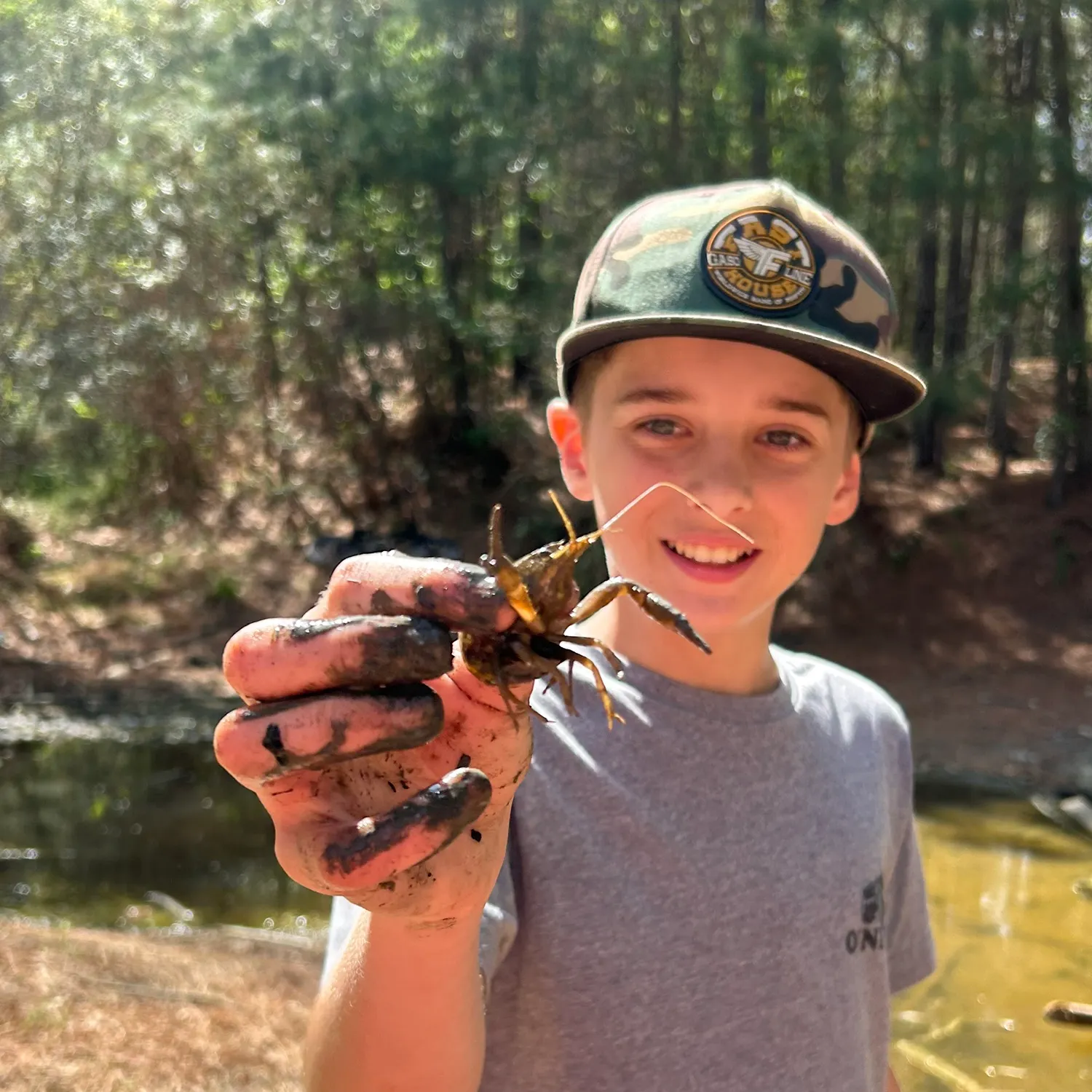 The most recent Red swamp crayfish catches on Fishbrain