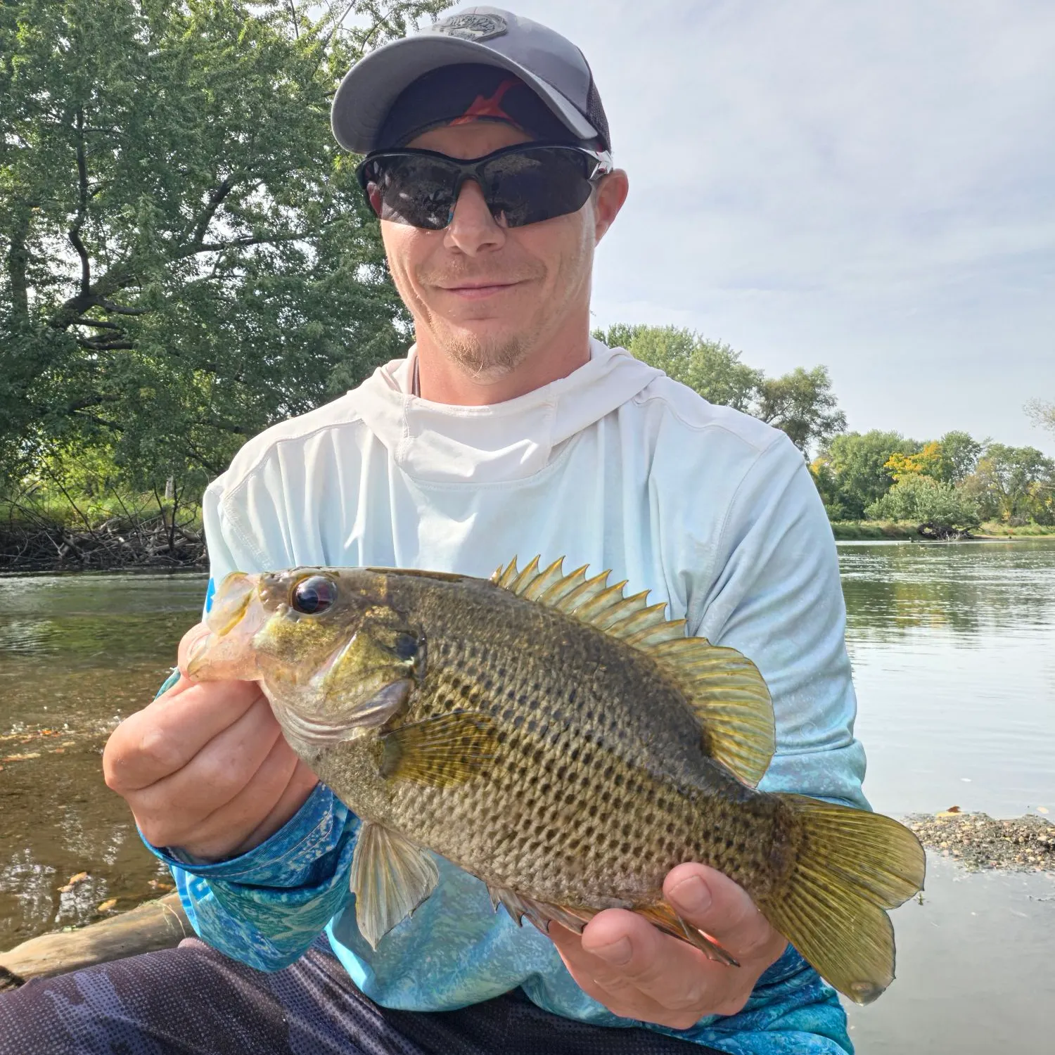 Rock bass caught on Fishbrain