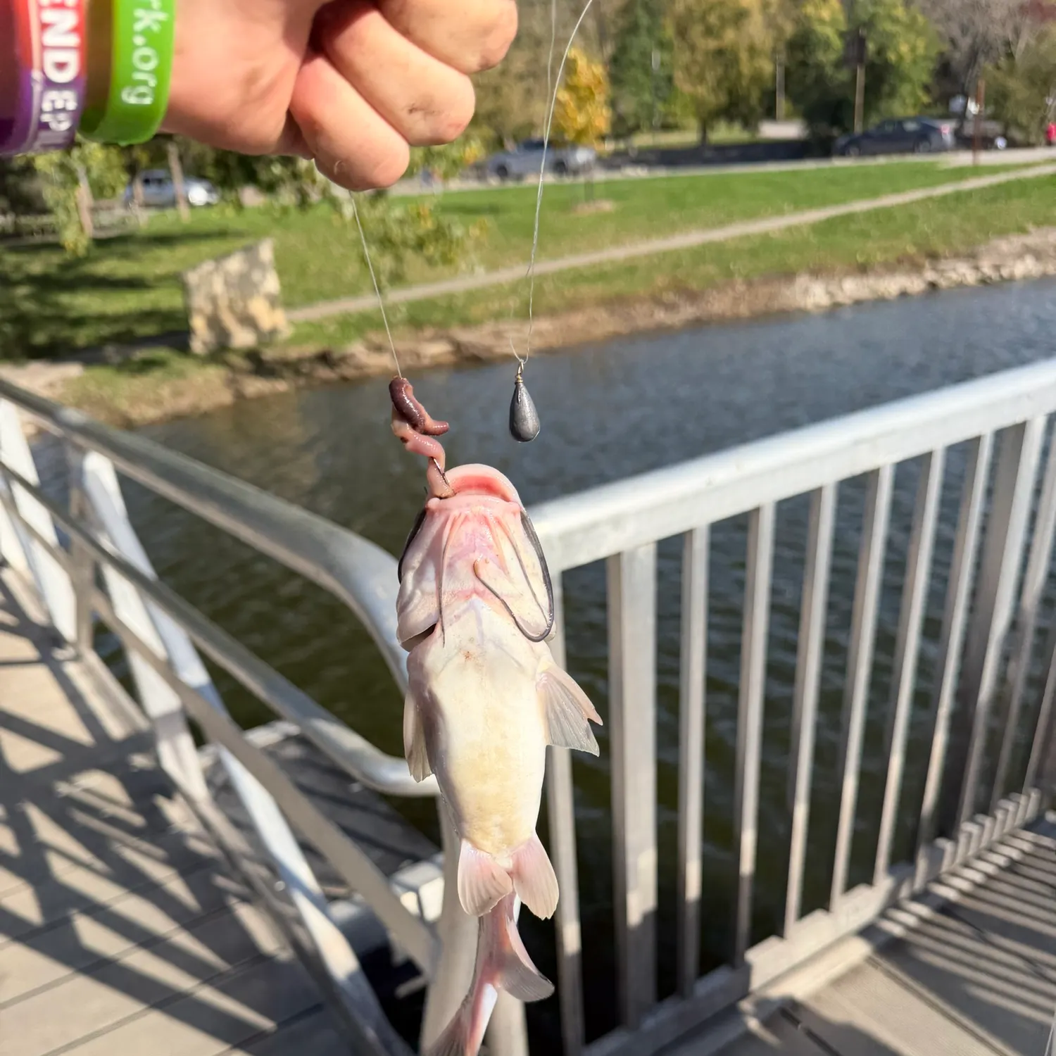 catch
