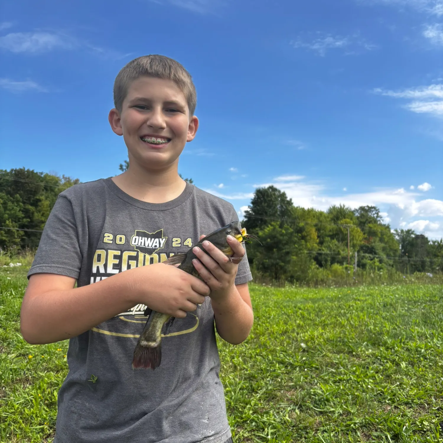 Yellow bullhead caught on Fishbrain