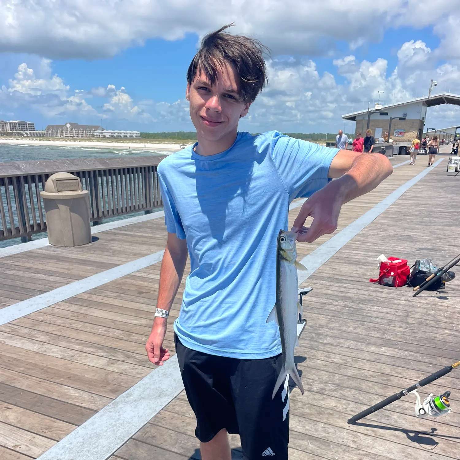 The most recent Ladyfish catches on Fishbrain