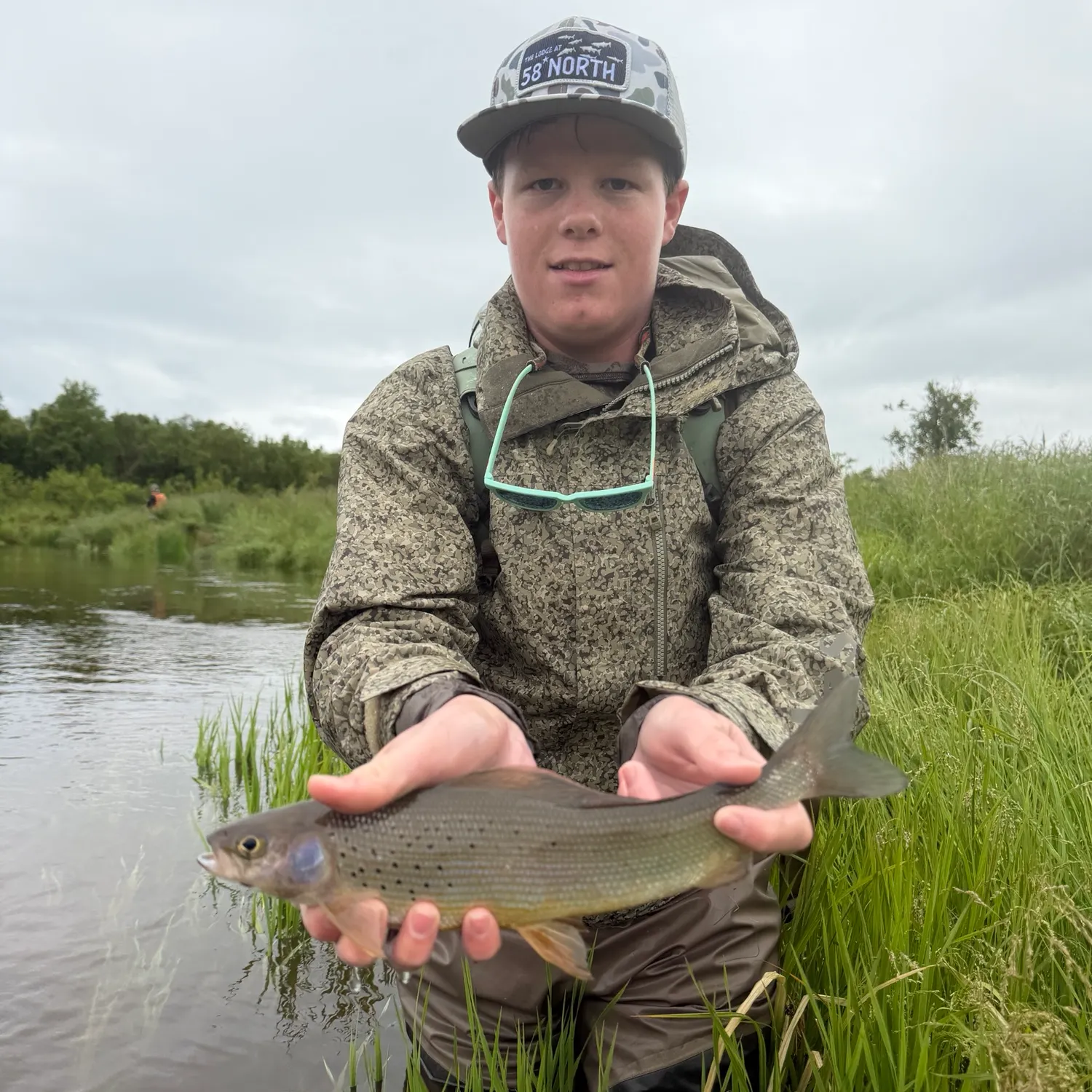 The most recent Arctic grayling catches on Fishbrain