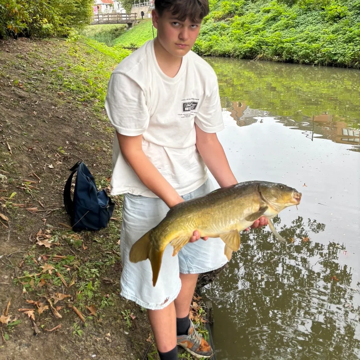 Leather carp caught on Fishbrain