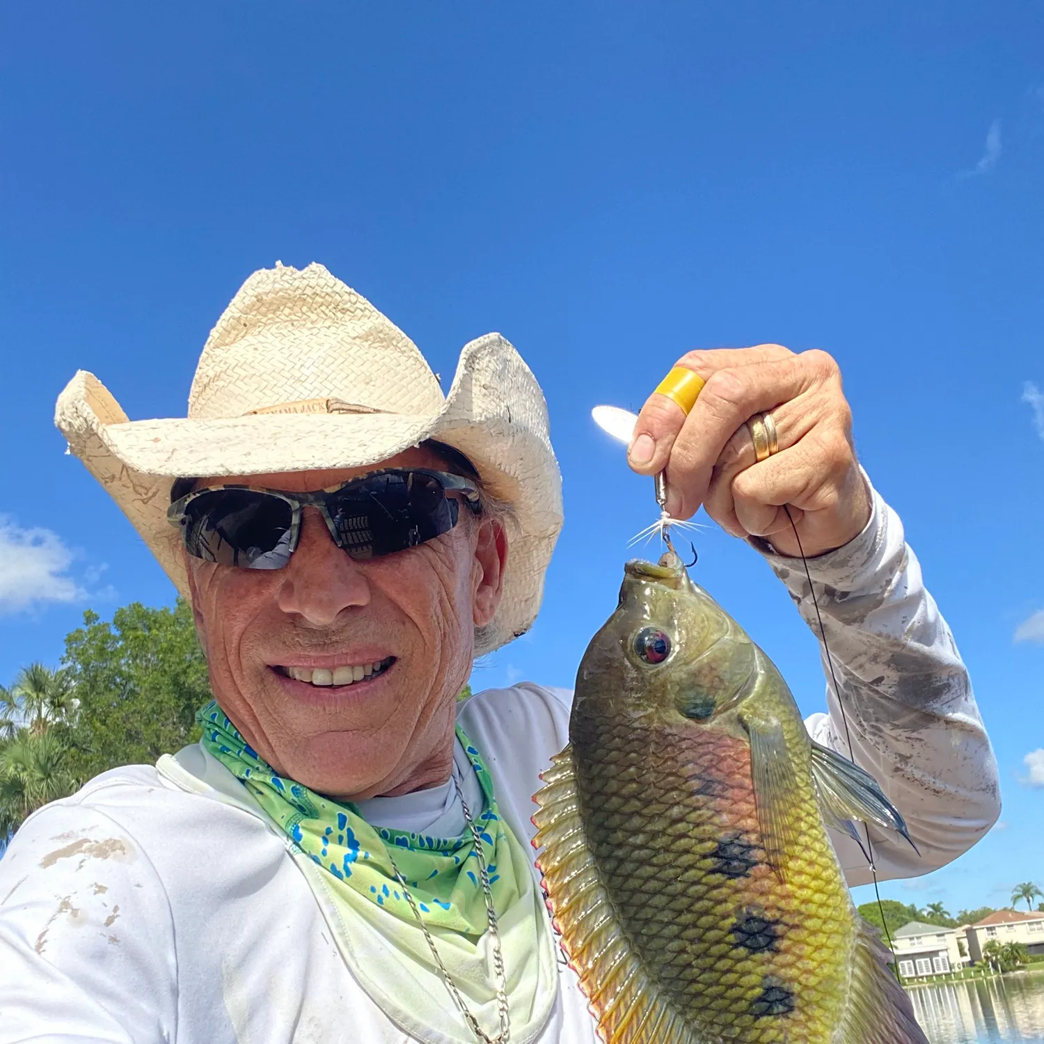 The most recent Spotted tilapia catches on Fishbrain