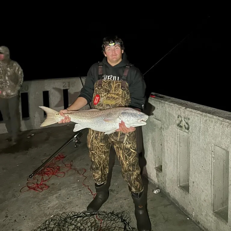 Red drum caught on Fishbrain