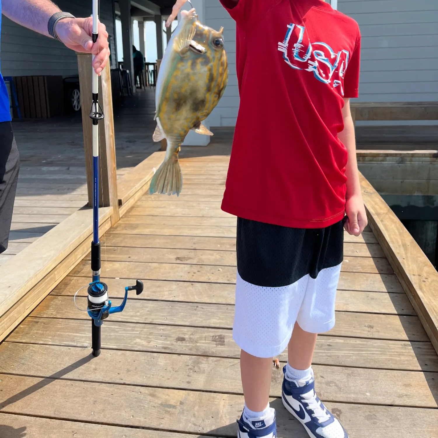 The most recent Scrawled cowfish catches on Fishbrain