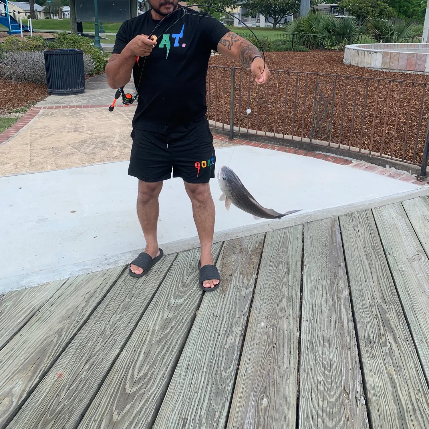 catch