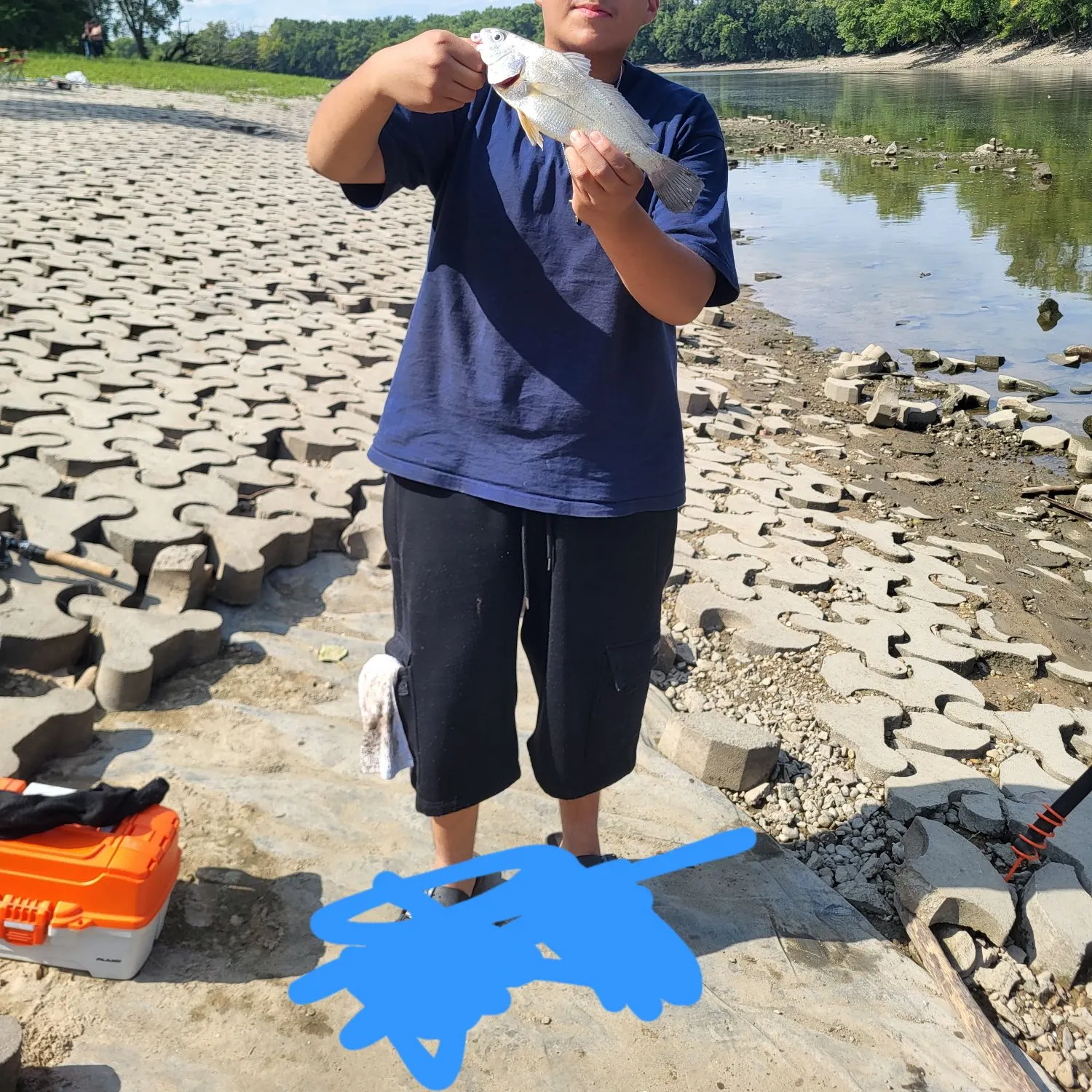 Freshwater drum caught on Fishbrain