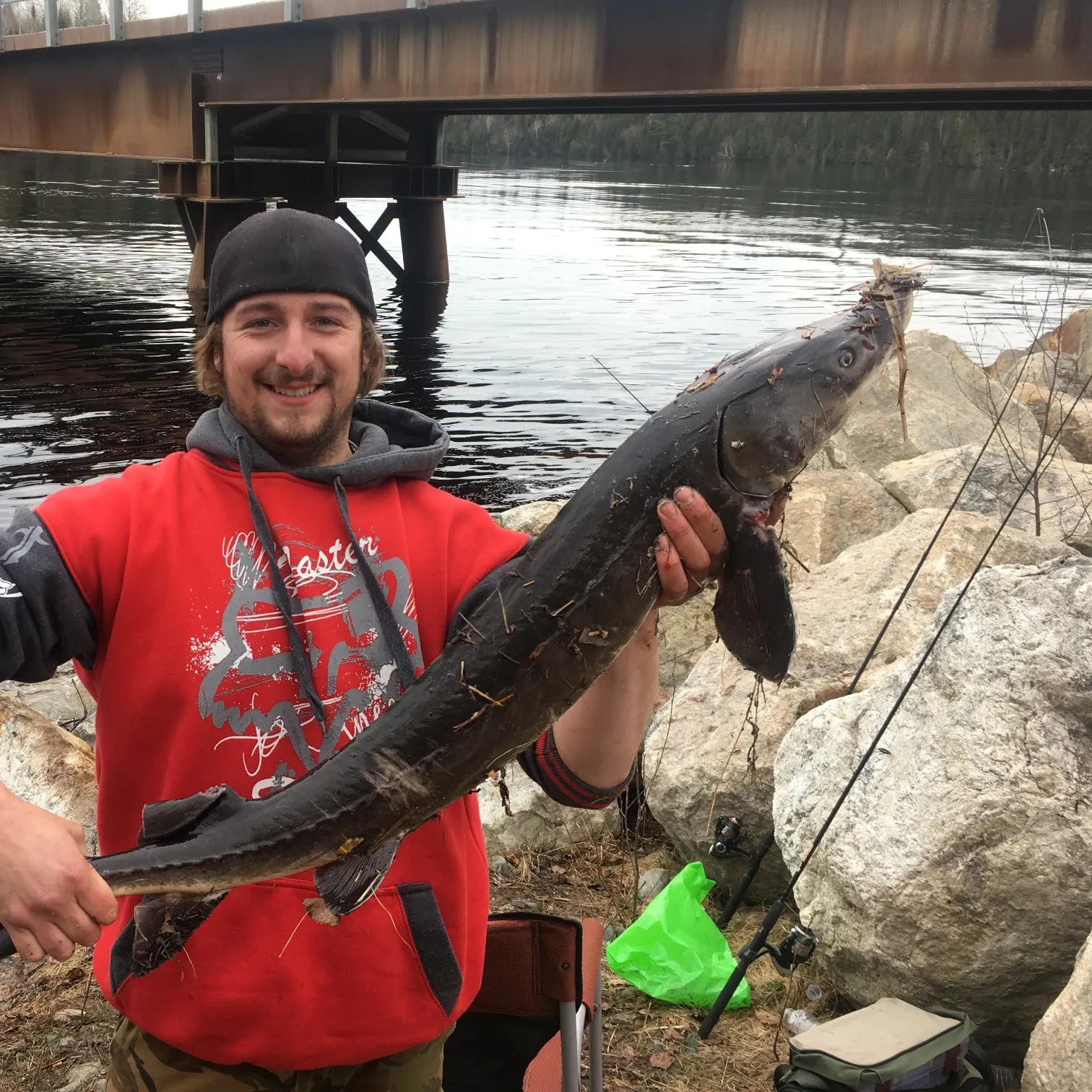 The most recent Lake sturgeon catches on Fishbrain