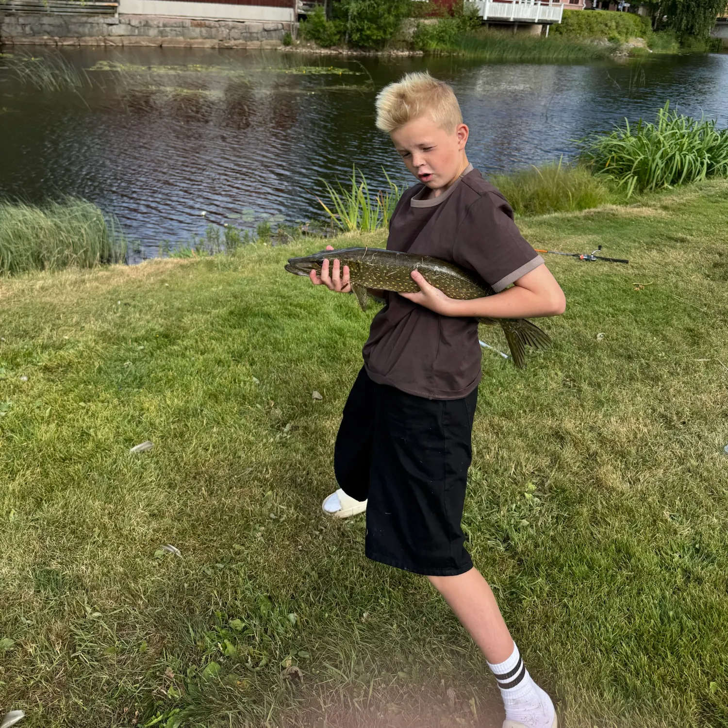 Northern pike caught on Fishbrain