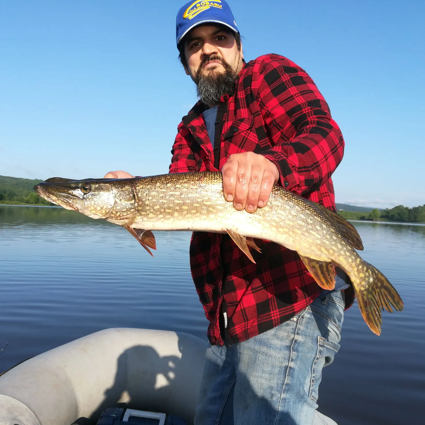 angler catch